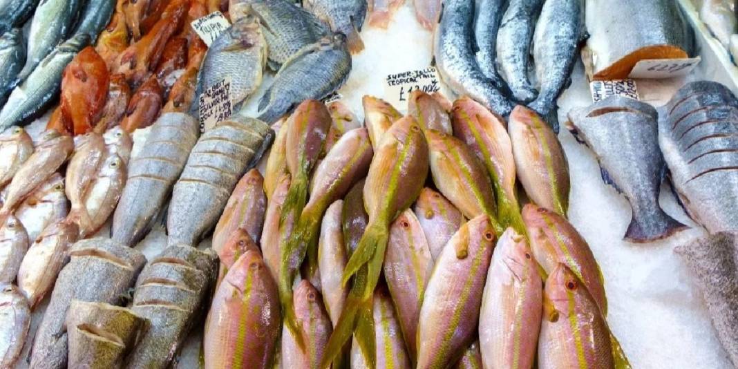 Vitamin yerine zehir yemeyin! Balıklarda büyük tehlike: Prof. Dr. Meltem Sarıoğlu uyardı 3